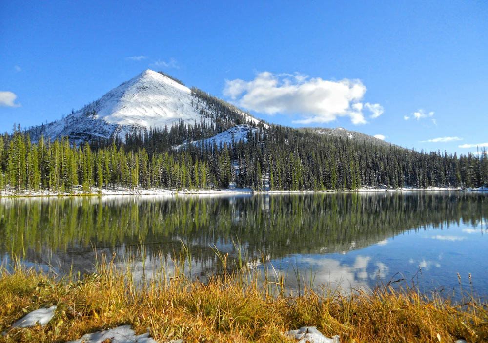 Payette-NF Bear-Lake Jeese-Lutz-USFS