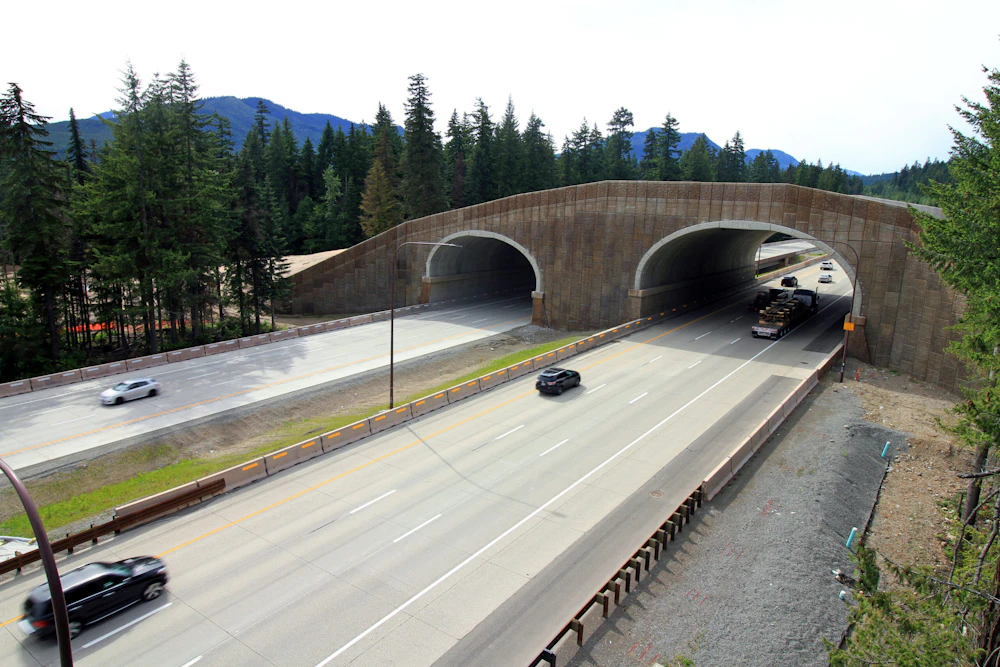 Phase 2 Wildlife Overcrossing