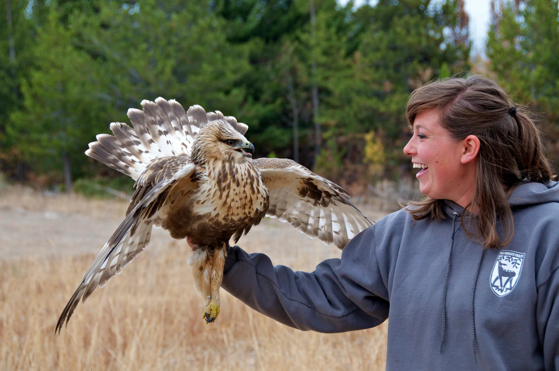 Photo-3-20151006-A-Volunteer-Wildlife-Biologist-Said-Releasing-this-Rougth-Legged-Hawk-Made-her-Life-by-Natalie-Kuehler