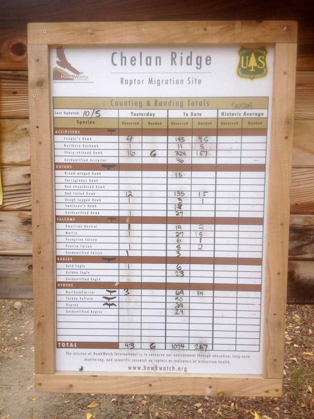 Photo-3a-Total-Observations-and-Bandings-at-Chelan-Ridge-by-Natalie-Kuehler