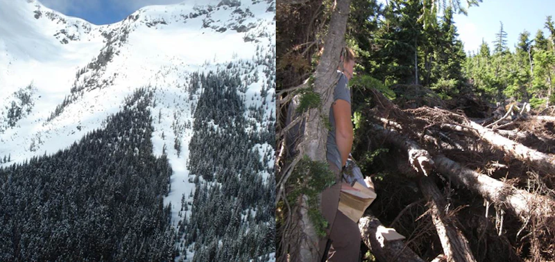 Photo-4-Mallory-Natal-Den-2012-photos-courtesy-of-Forest-Service-John-Rohrer