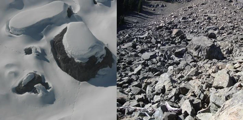 Photo-6-Suspected-Third-Natal-Den-photo-courtesy-of-Forest-Service-John-Rohrer