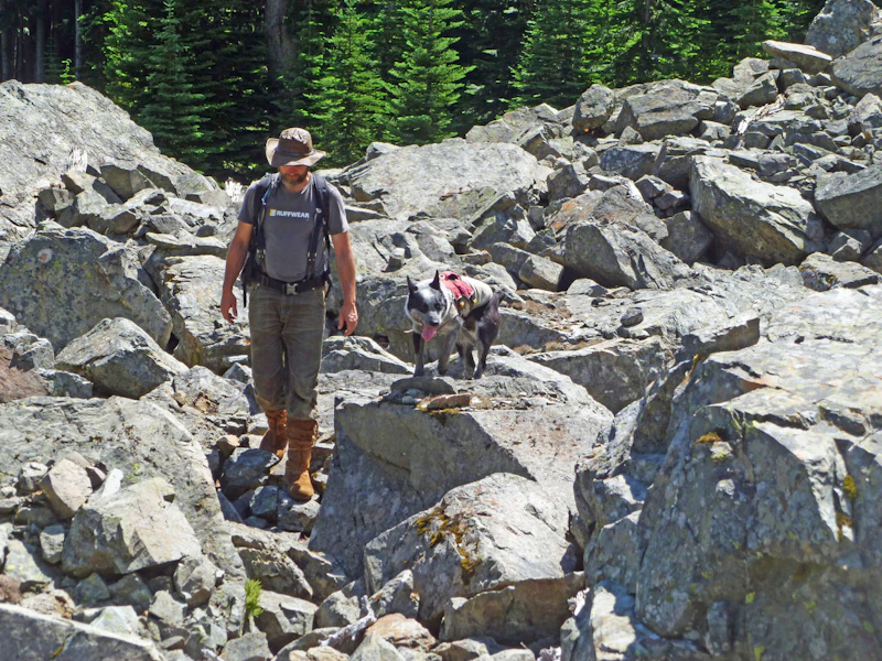 Photo-8-Pips-and-Heath-Hiking-in-Boulder-Field-Closeup-photo-courtesy-of-Forest-Service-Cathy-Raley