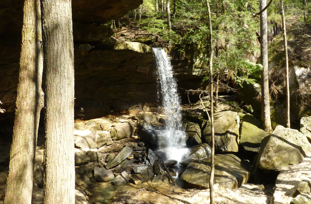 Photo Three 1