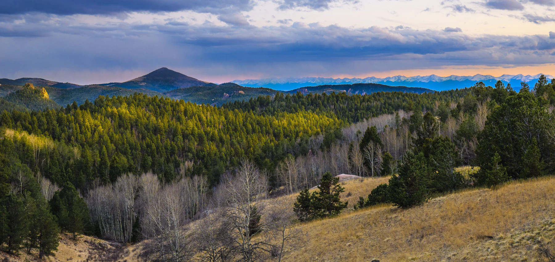 Pike and San Isabel National Forests & Cimarron and Comanche