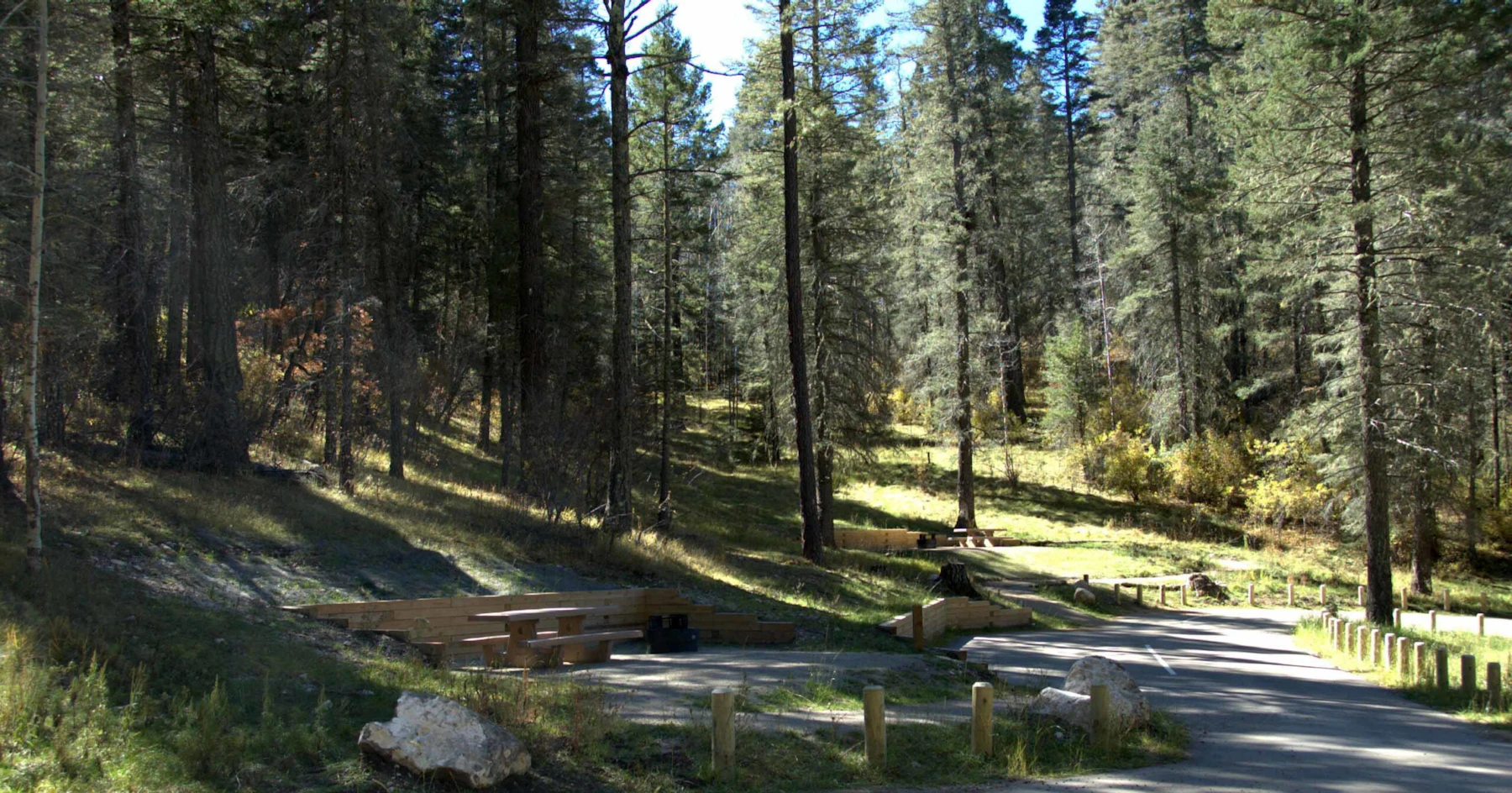 Pine Cg Campsites V2