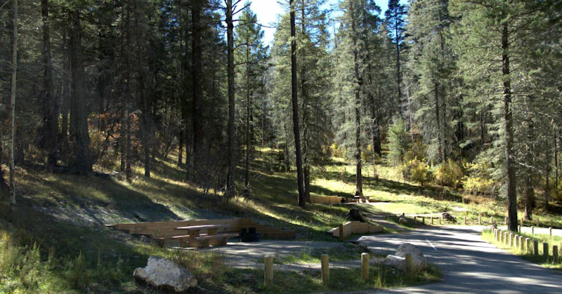 Pine Cg Campsites V2