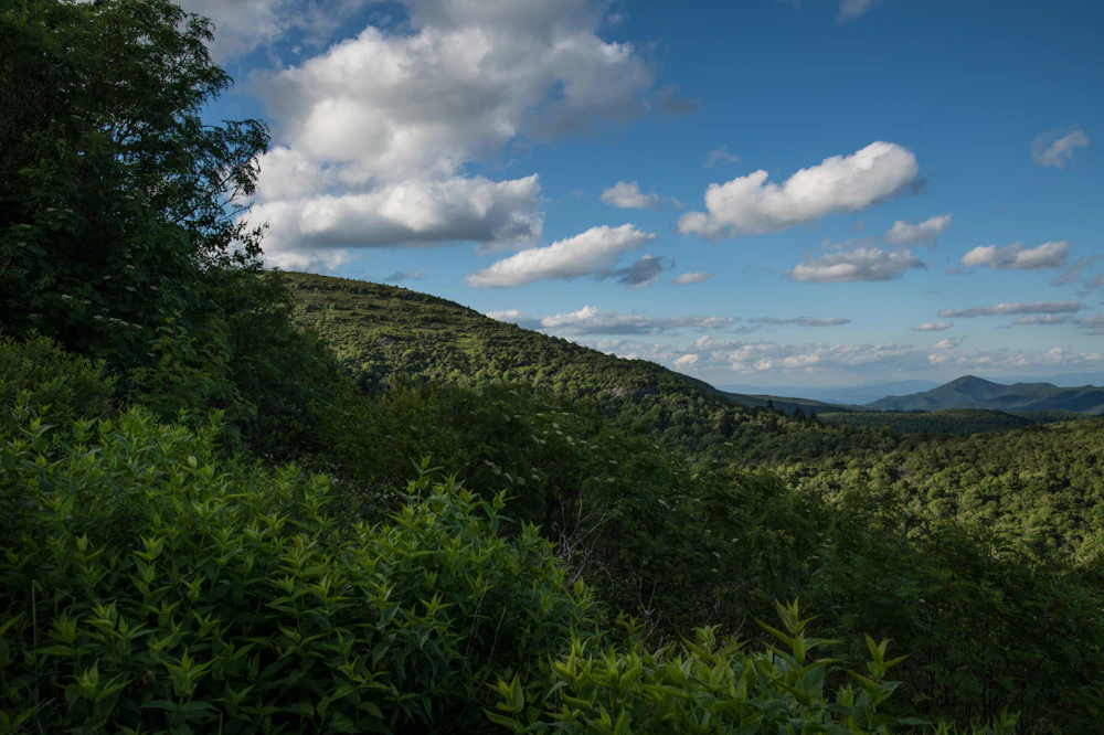 Pisgah Nf Black Balsam Jeff Clark