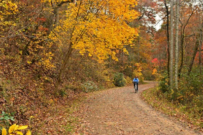 Pisgah NF Dan Zamostny 529