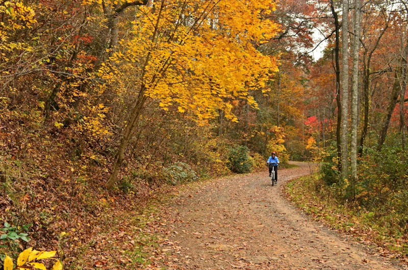Pisgah NF Dan Zamostny 529
