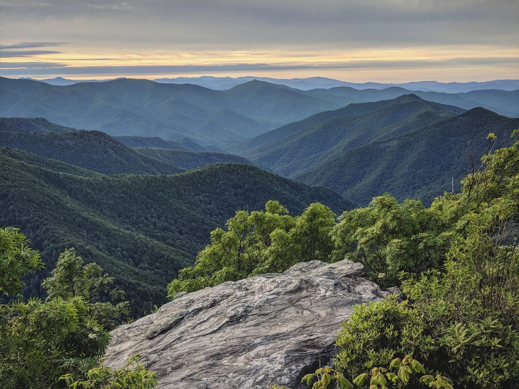 Pisgah NF Jamie Nice 1