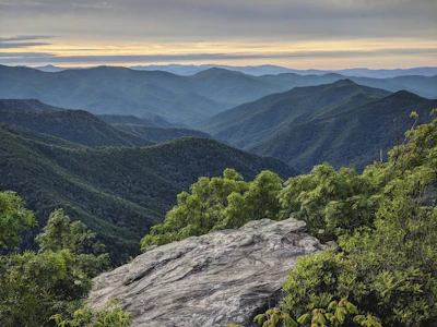 Pisgah NF Jamie Nice 1