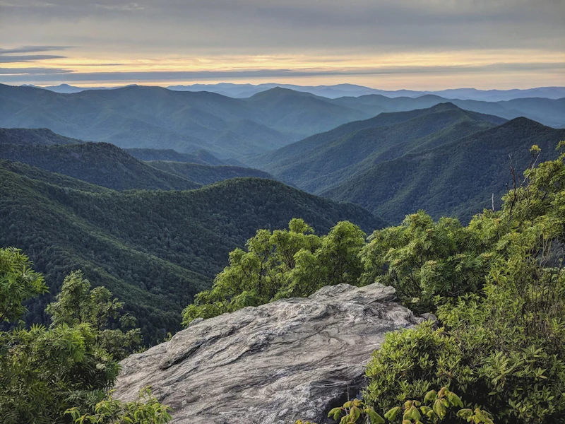 Pisgah NF Jamie Nice 1