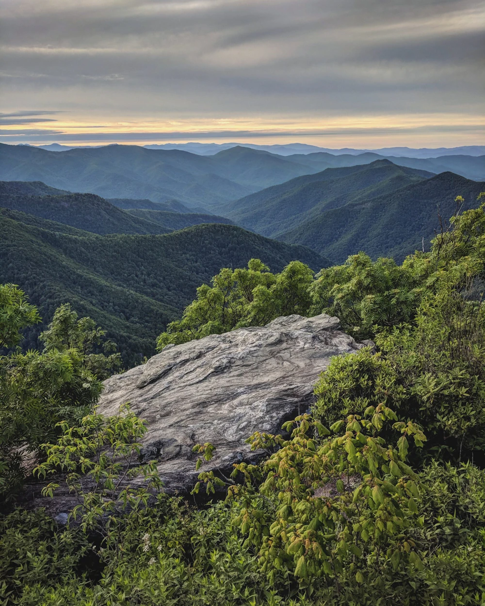 aerial view of tree covered mountains