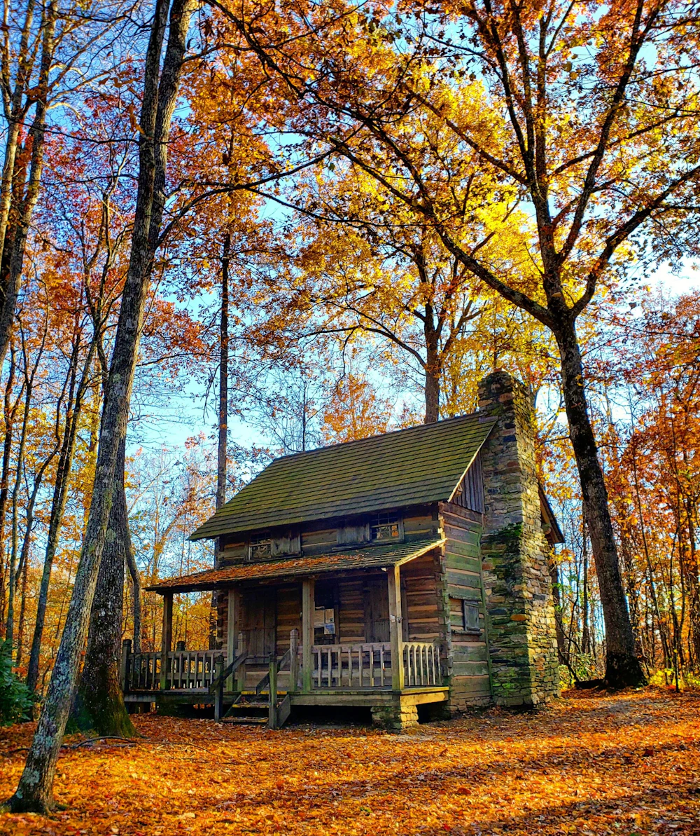 Pisgah Nf Wilderness Cabin Clay Mc Creary 1943