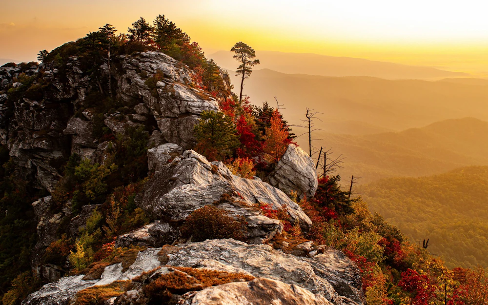 Pisgah 8763 Adam Bean 1