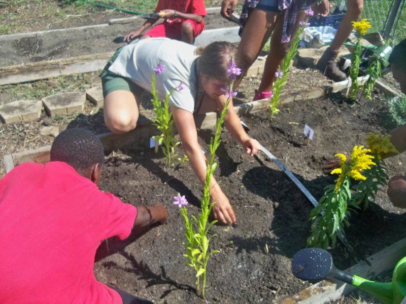 PlantingPolinatorswithTeensFromLightHouseYouthCenter Summer2014