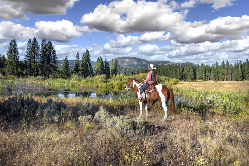 Woman on horse back.