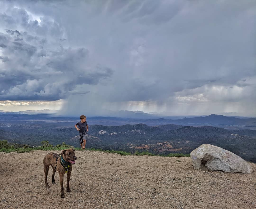 a boy and dog stand at a vista overlooking a distant desert thunderstorm