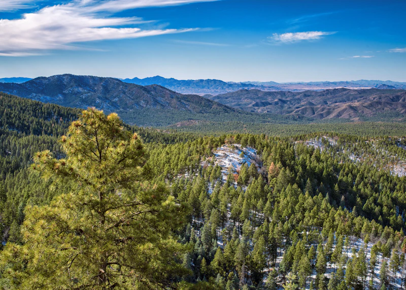 a forest valley of trees and distant mountains beneath blue skies