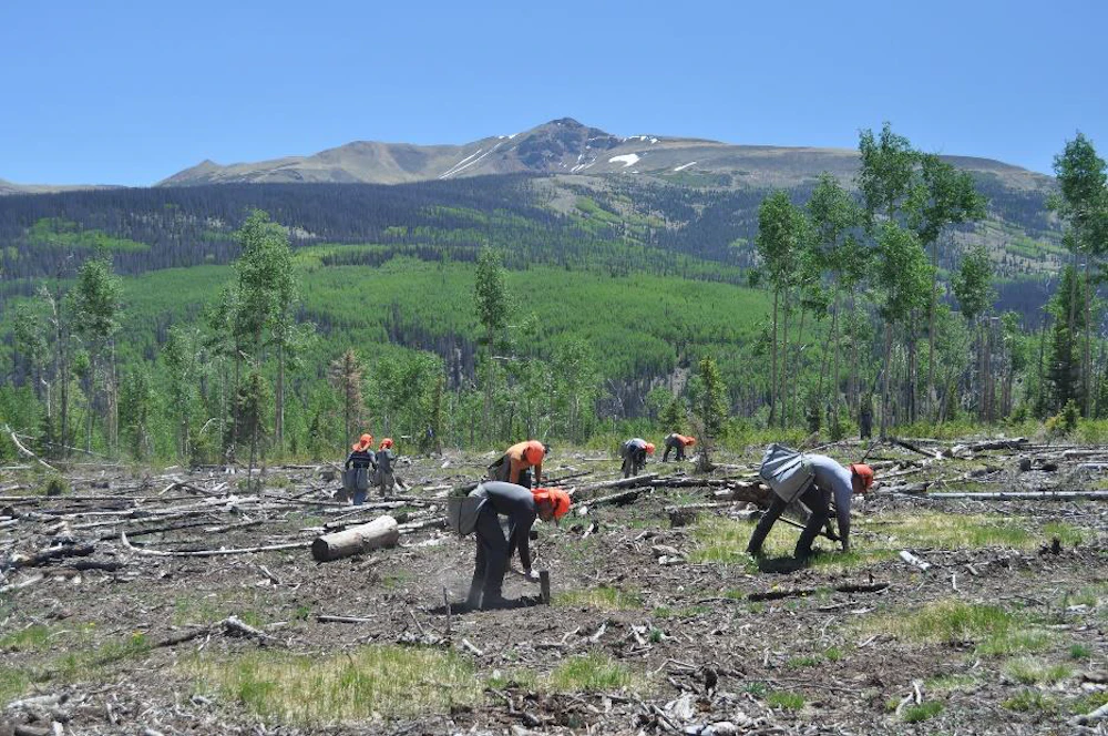 Qk 201 Gmug Usfs