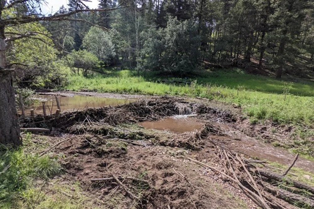 QN 303 Lincoln beaver dam analog constructed along Big Bear Creek within aspen enclosure
