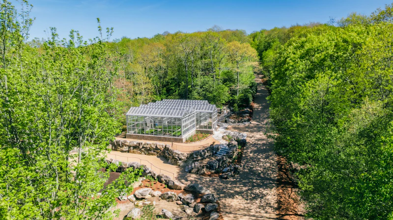 Greenhouse.