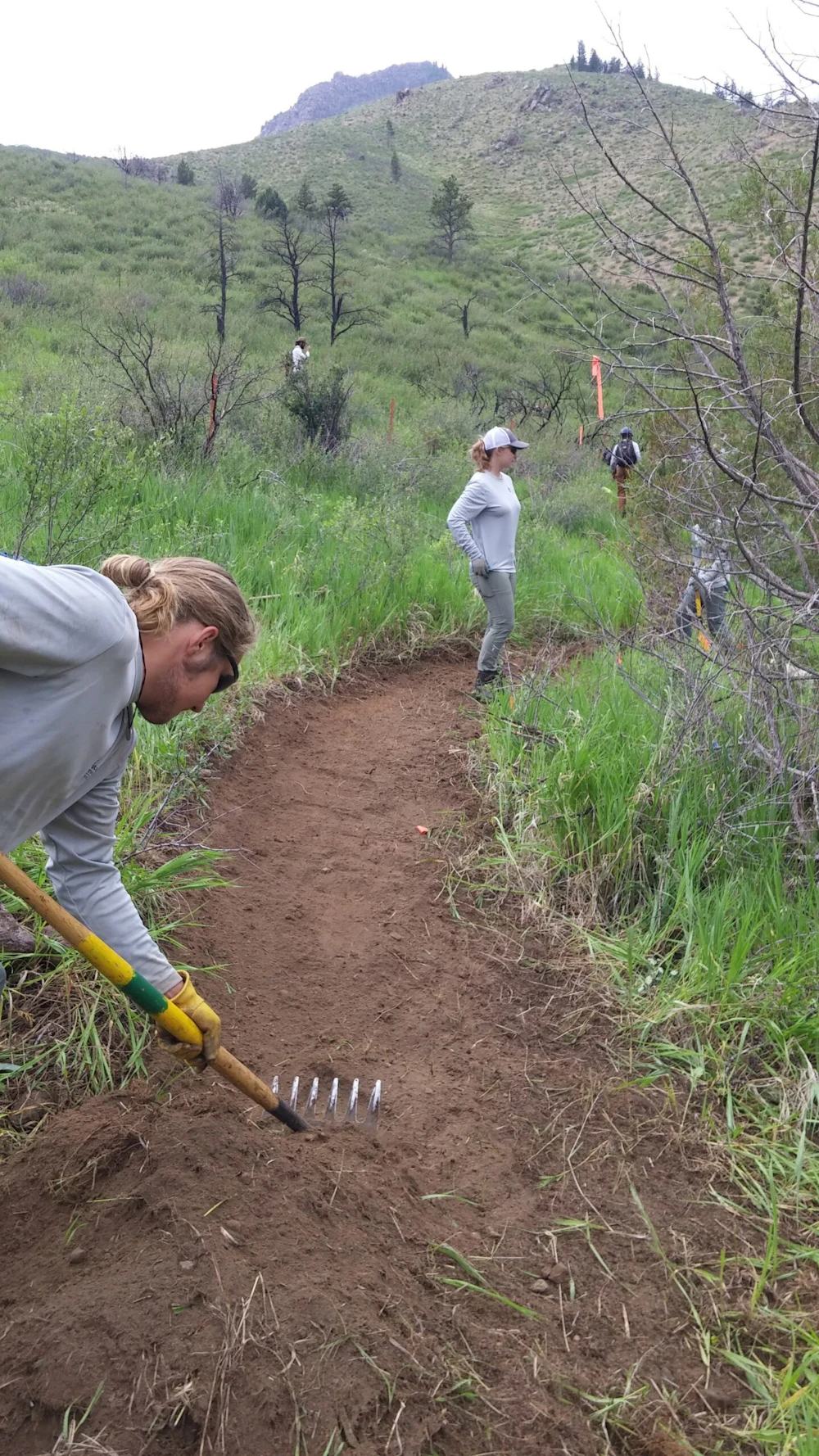 Rawah-and-Red-Feather-rebulding-Young-Gulch-Trail