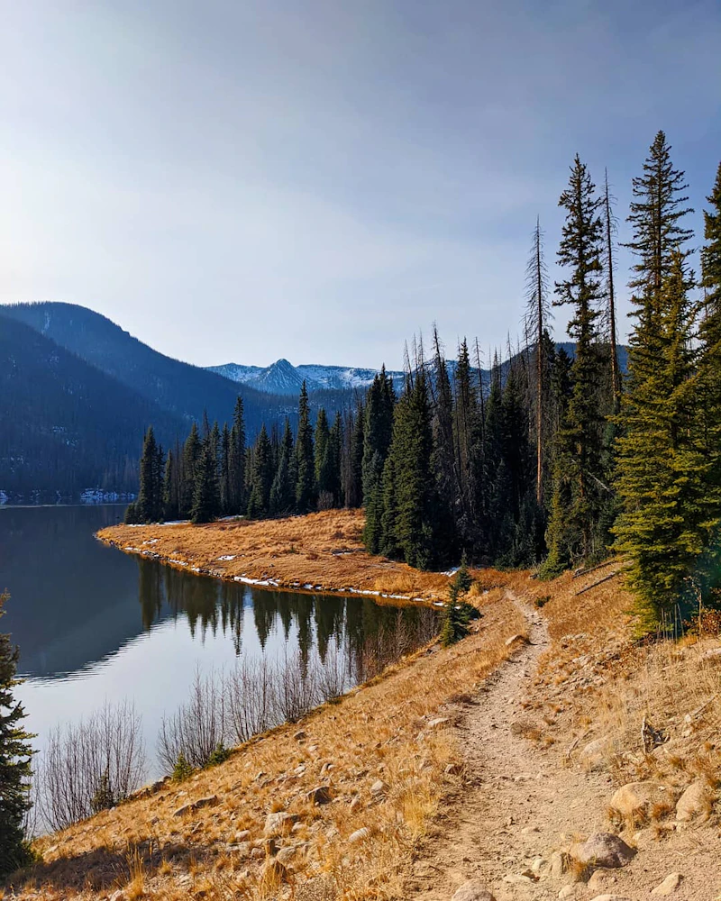 Lake shore.