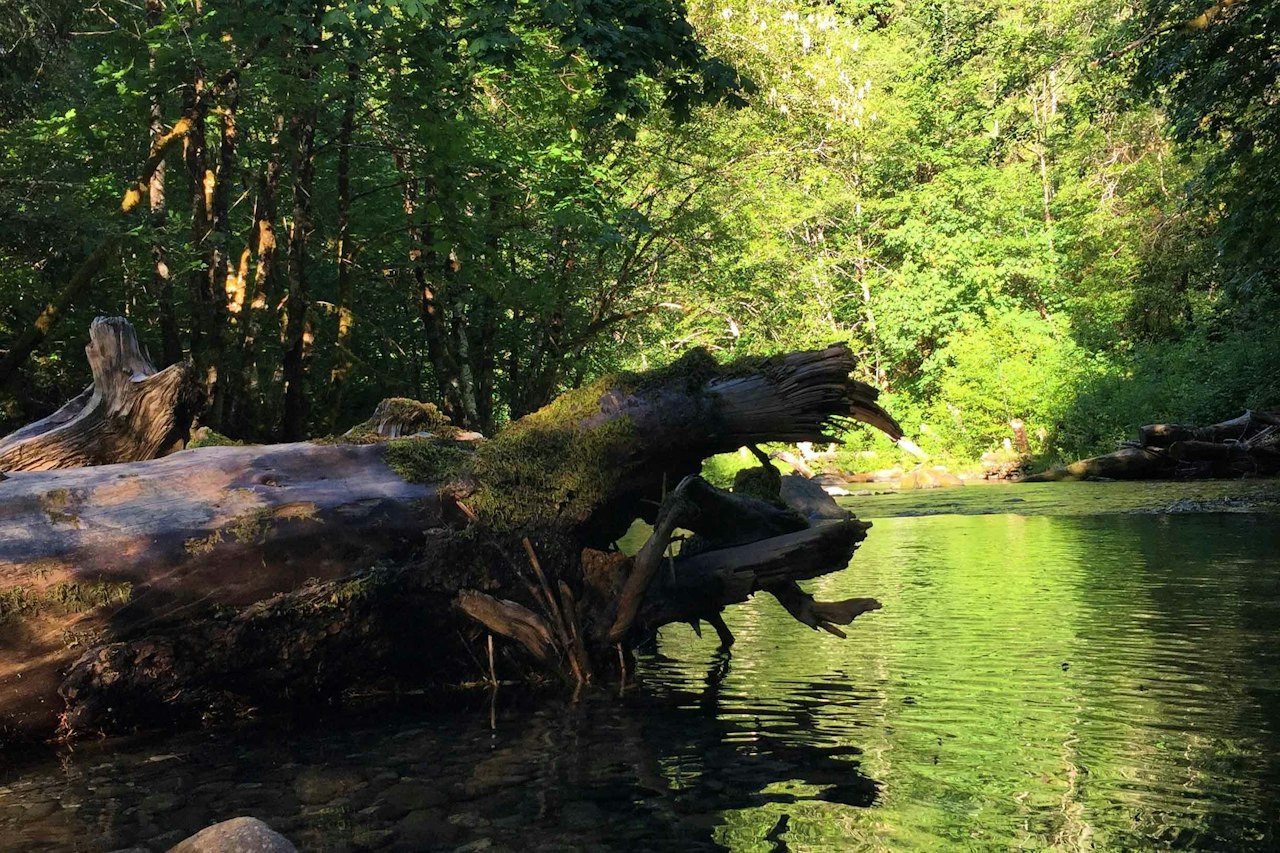 Unforgettable Experiences - Coquille Falls and the Coquille River ...