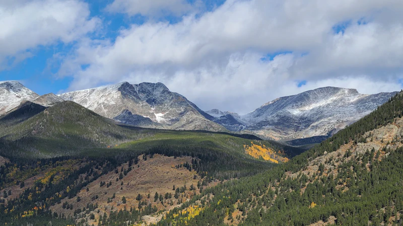 mountain peaks above the forest