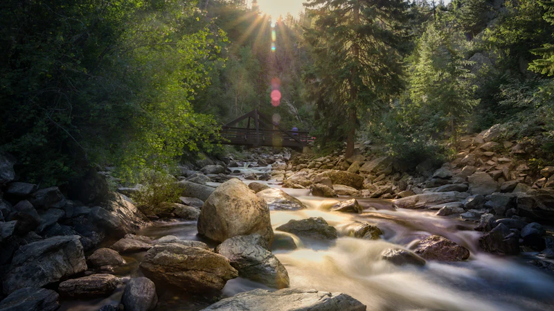 Routt National Forest Lee Sussman 5229