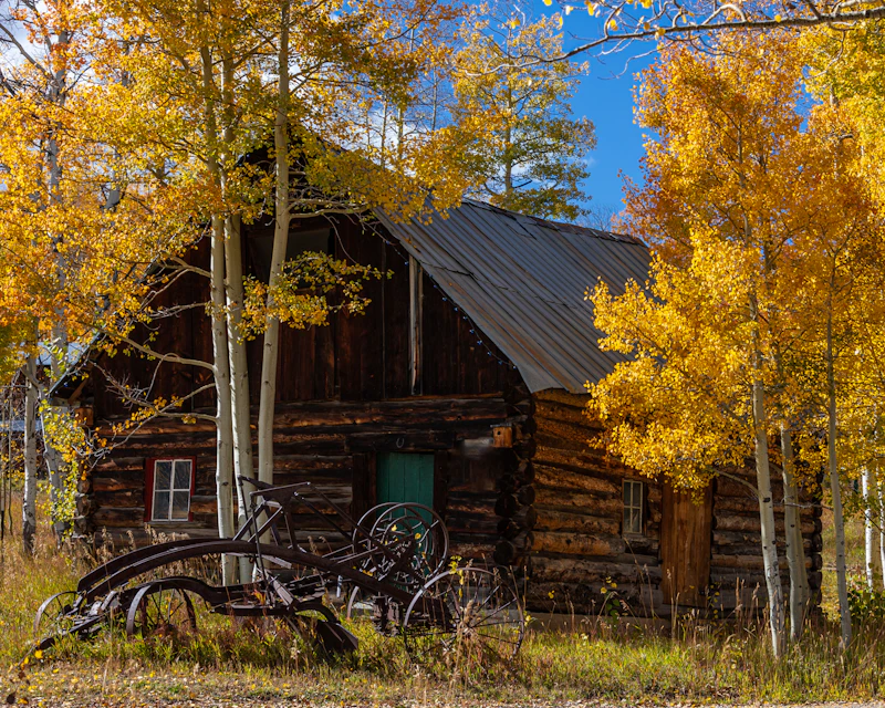 Historic cabin.