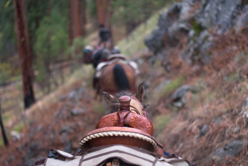 Horseback riders.