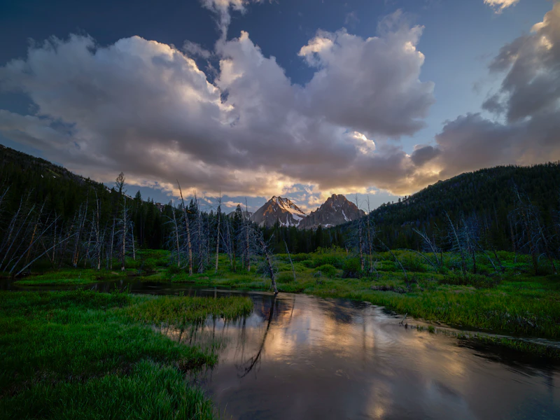 Alpine wetland.