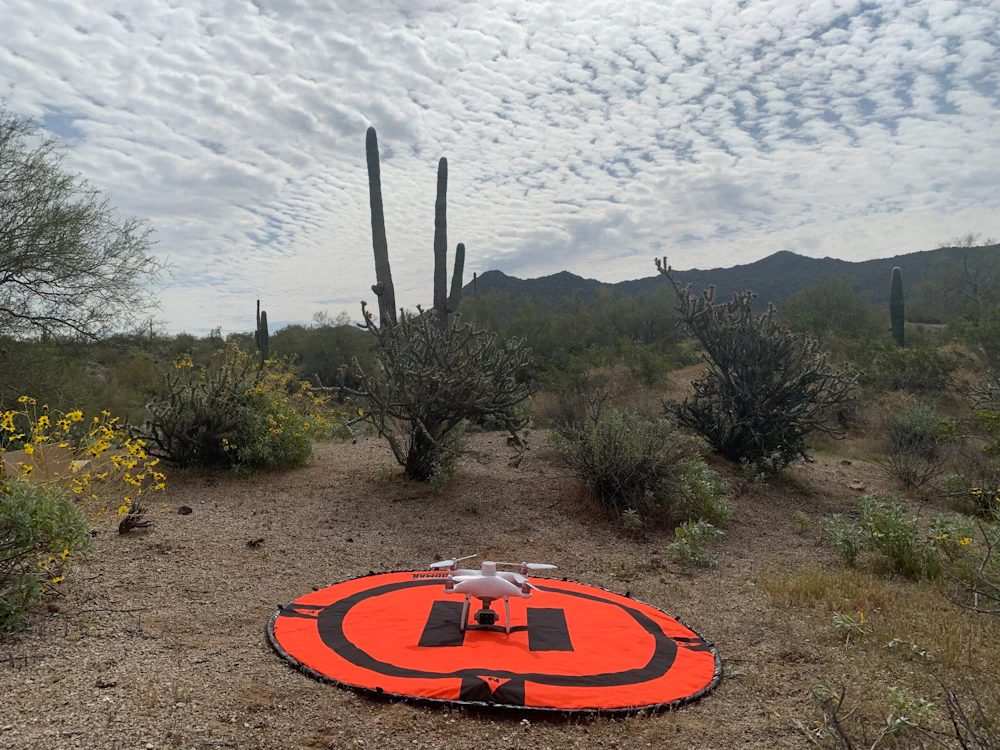 Salt River5