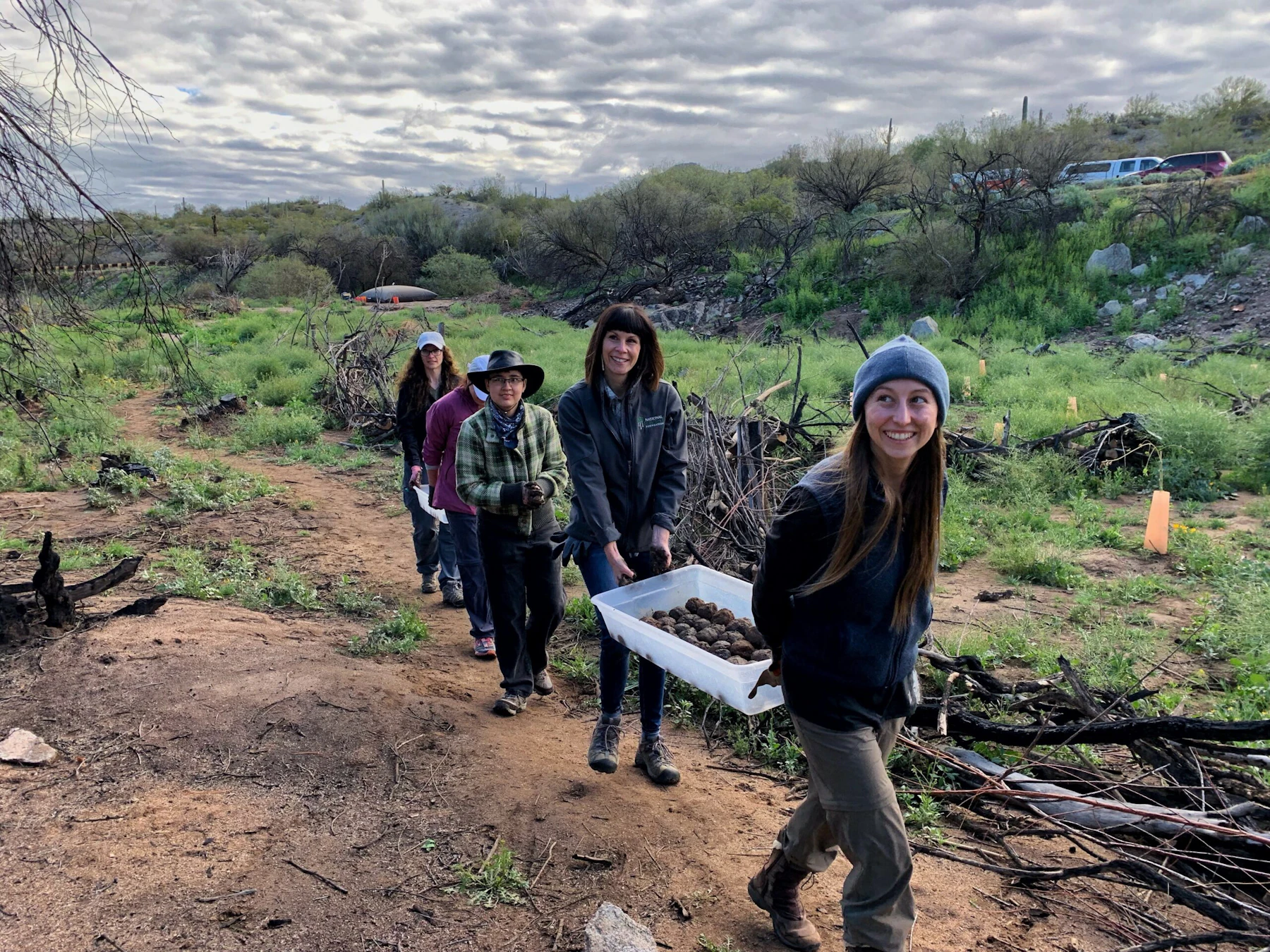 Salt River Restoration