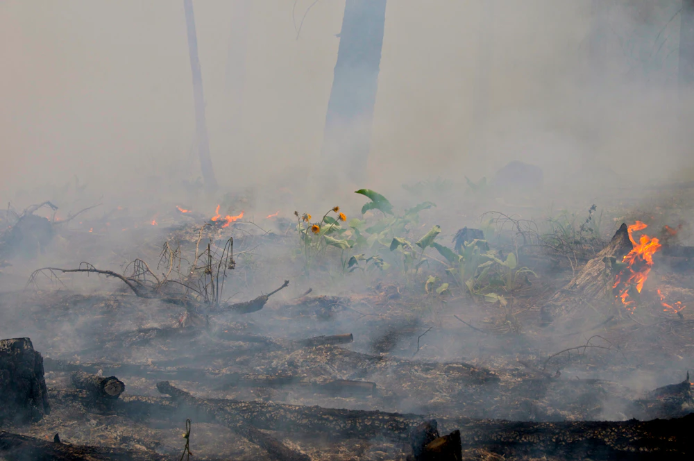 Sample-Good-Surface-Fire-from-last-week-2