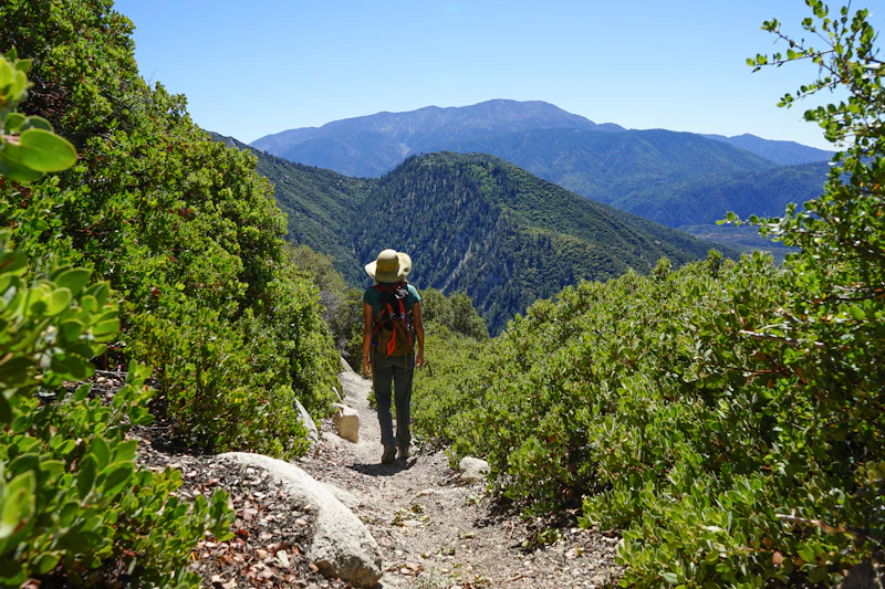 Hiker in the mountains.