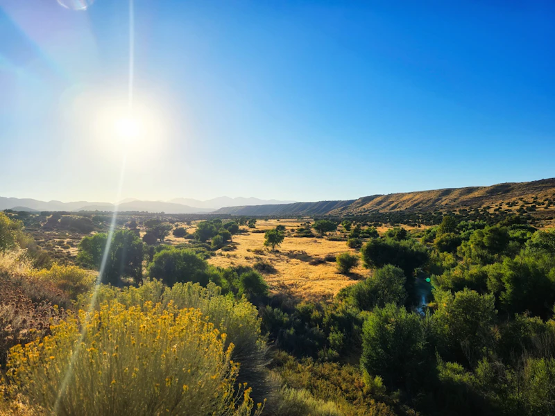 Desert lands.