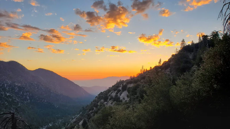 San Bernardino National Forest Joyce Cheuk 5443