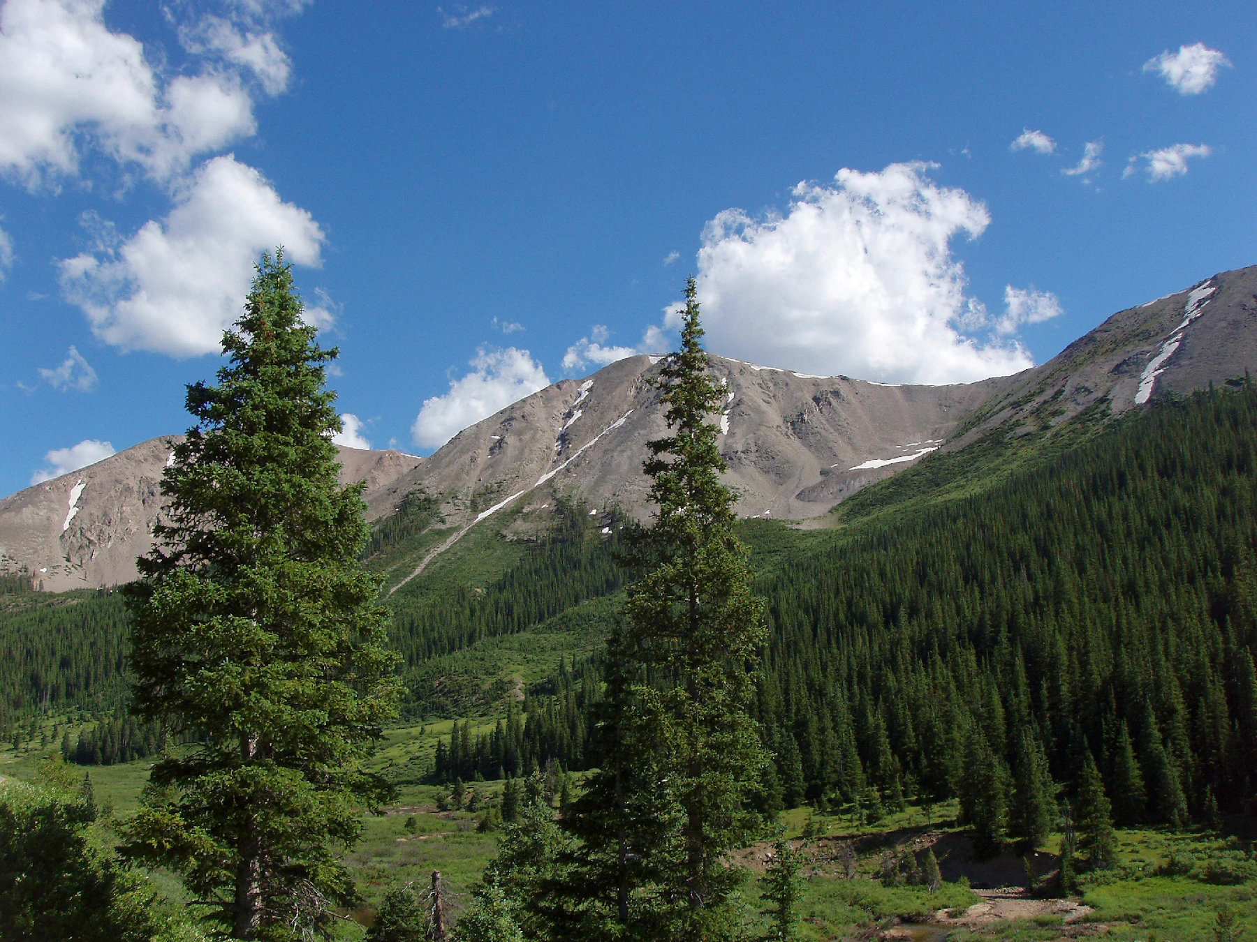 San-Isabel-NF Green-Mtn Jeff-Clark