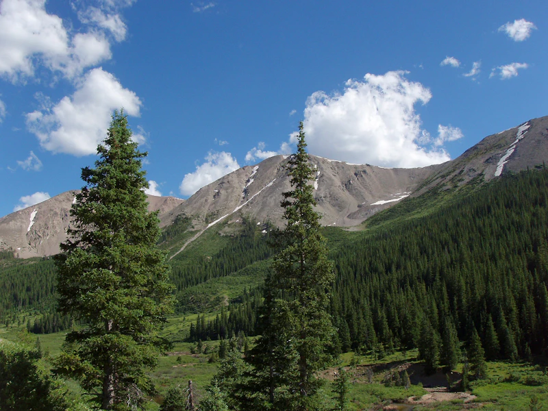 San-Isabel-NF Green-Mtn Jeff-Clark