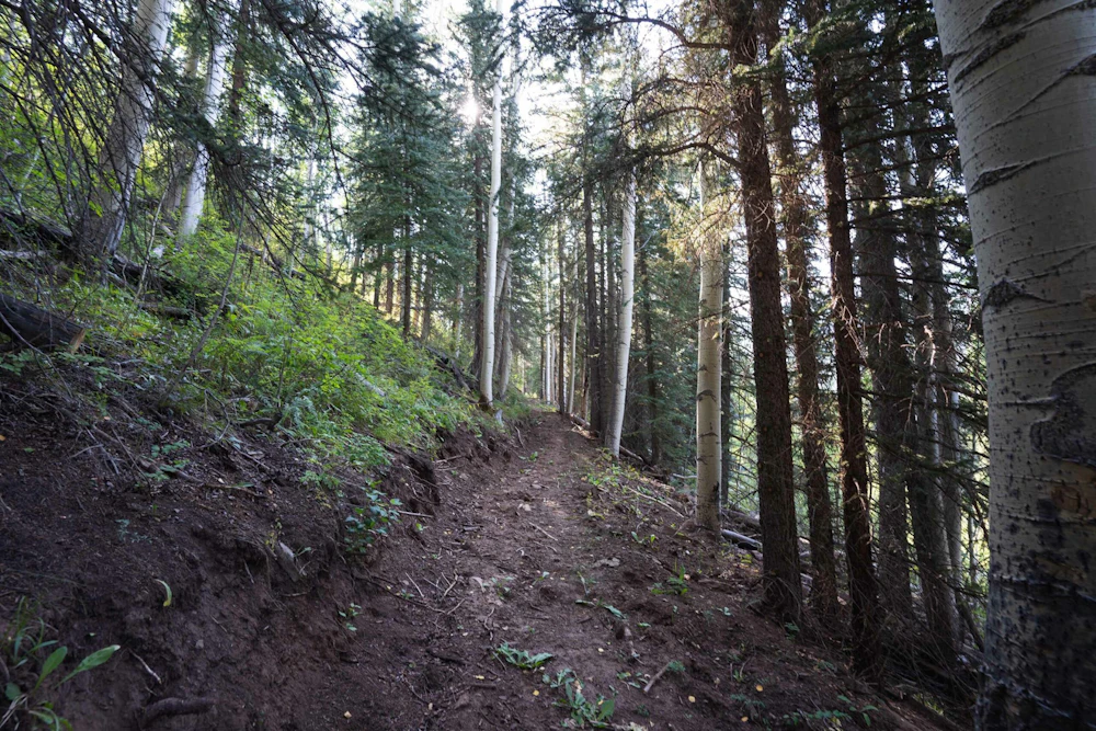 San Juan NF Cutthroat Trail Eric Berry web 1