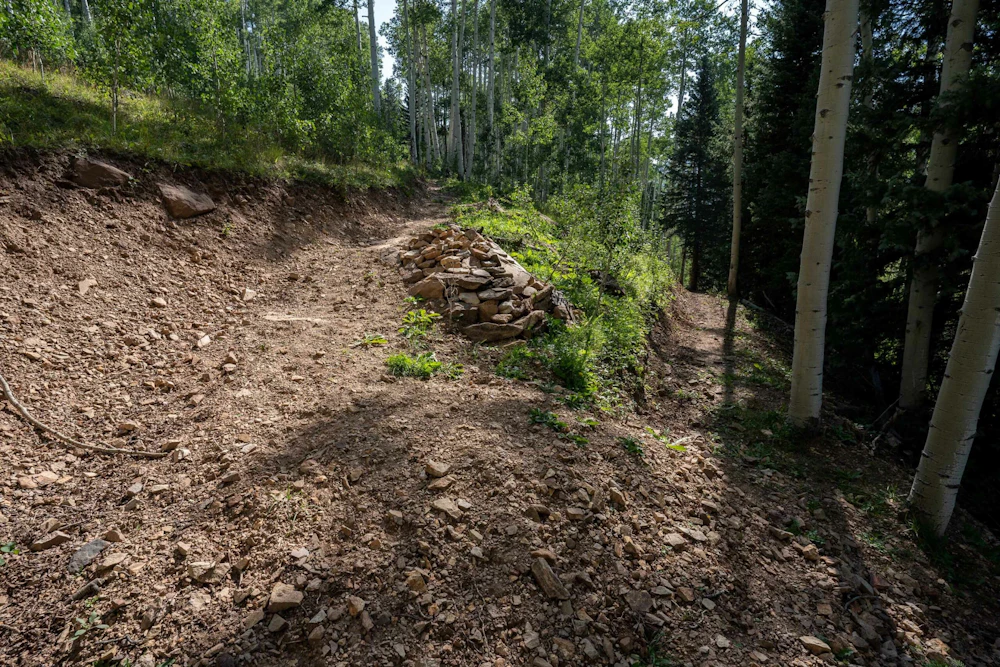 San Juan NF Cutthroat Trail Eric Berry web 11