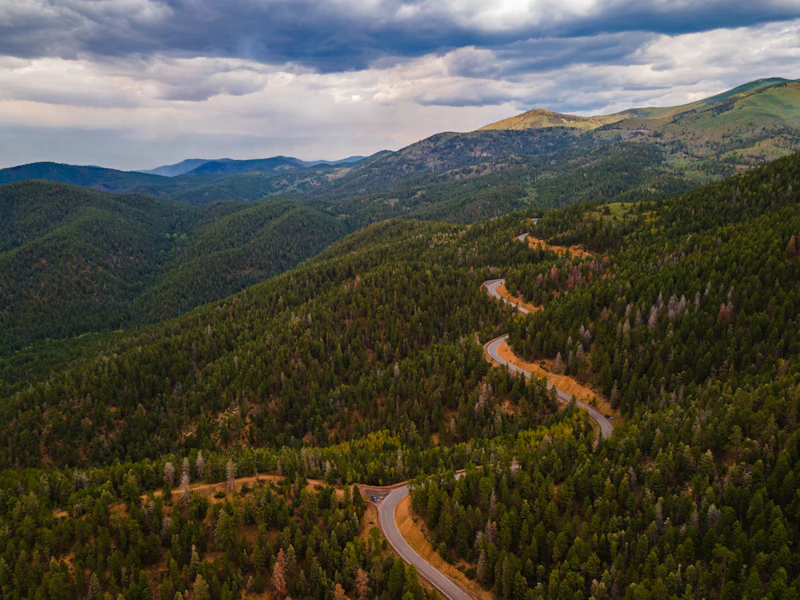 Road winding through the forest.