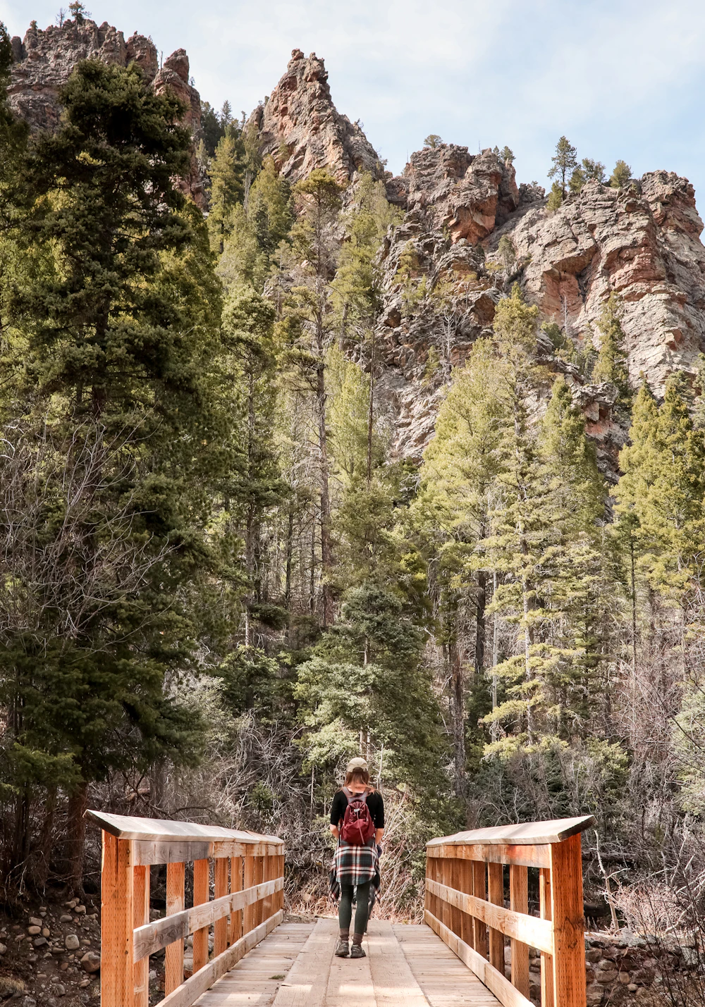 Santa Fe Nf Pecos Wilderness Elizabeth Evans 1778