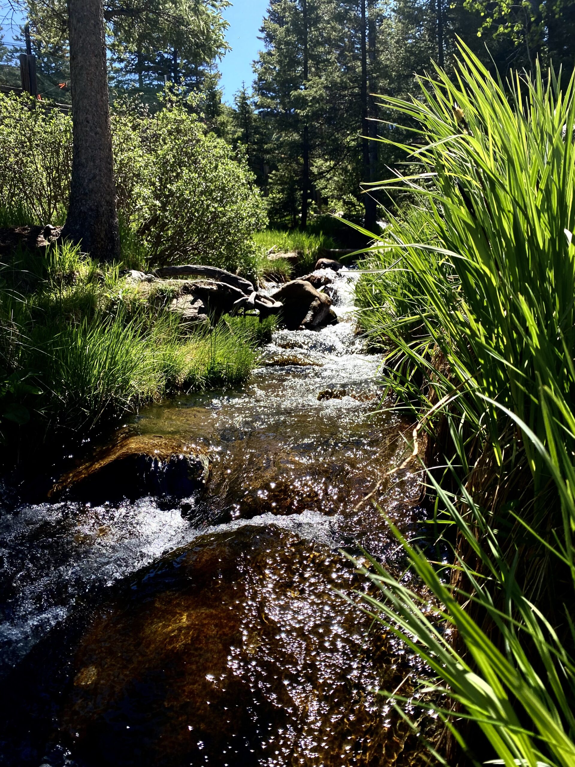 Creek.