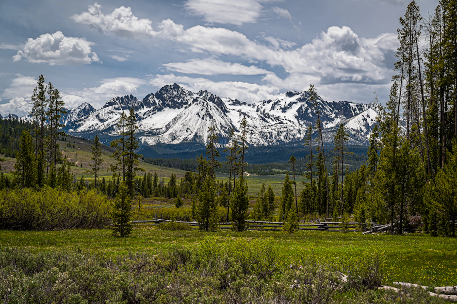 Sawtooth NF Dawn Best 5094