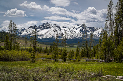 Sawtooth NF Dawn Best 5094